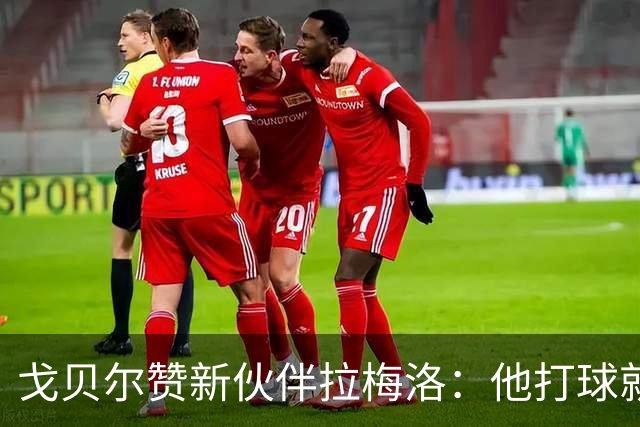 戈贝尔赞新伙伴拉梅洛：他打球就像喝水一样顺畅！